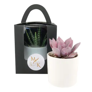 Personalized Stickers for Plant Carrier Bag (5 Stickers Included)