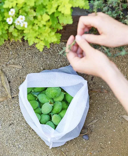 Reusable Produce Bags